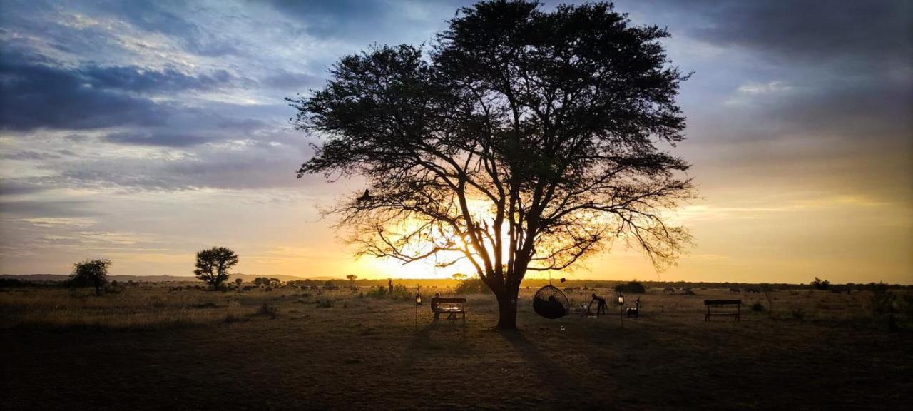 Hotel Zawadi Camp Serengeti Exterior foto