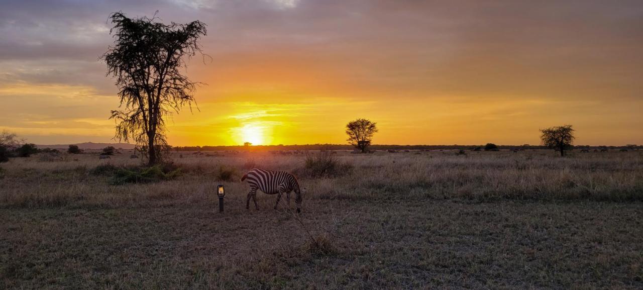 Hotel Zawadi Camp Serengeti Exterior foto