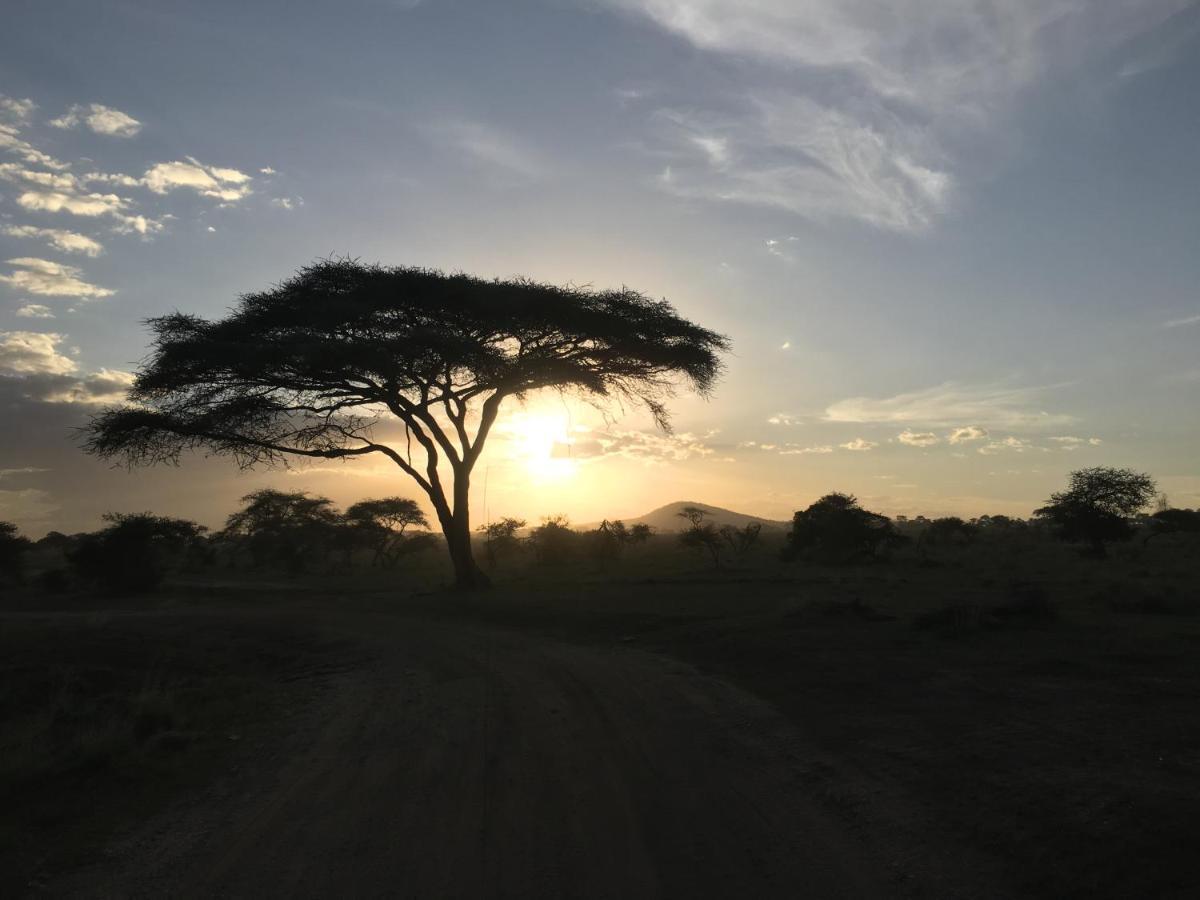Hotel Zawadi Camp Serengeti Exterior foto